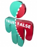 Скачать игру True or False для PC через торрент - GamesTracker.org